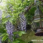 La Cachette De Beaumont Marsais