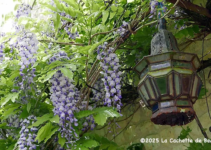 La Cachette De Beaumont Marsais